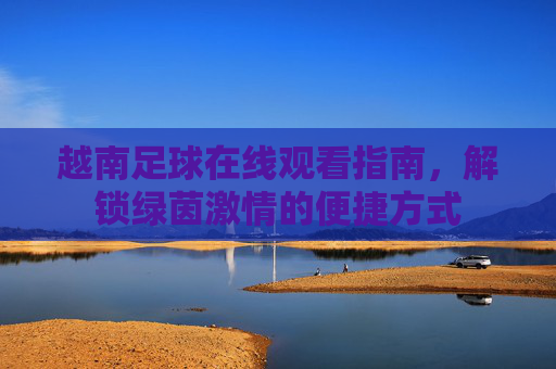 越南足球在线观看指南,解锁绿茵激情的便捷方式