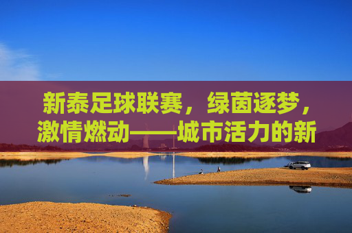 新泰足球联赛,绿茵逐梦,激情燃动——城市活力的新坐标