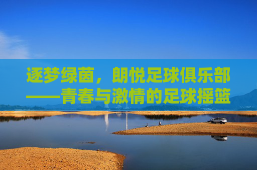 逐梦绿茵,朗悦足球俱乐部——青春与激情的足球摇篮