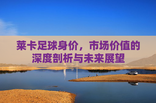 莱卡足球身价，市场价值的深度剖析与未来展望