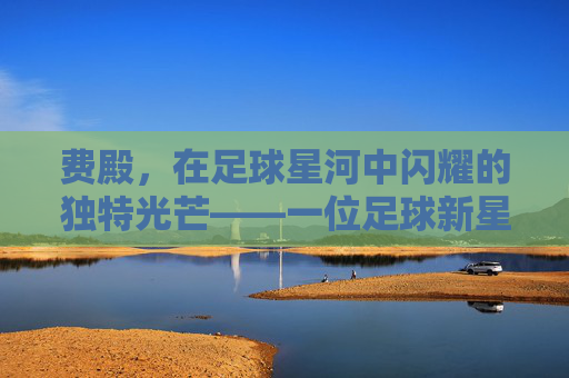 费殿，在足球星河中闪耀的独特光芒——一位足球新星的成长与绽放，费殿，在足球星河中闪耀的独特光芒——一位足球新星的成长与绽放