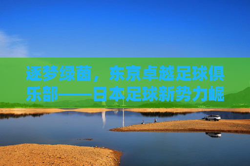逐梦绿茵，东京卓越足球俱乐部——日本足球新势力崛起的象征