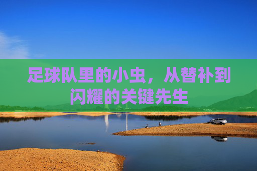 足球队里的小虫，从替补到闪耀的关键先生