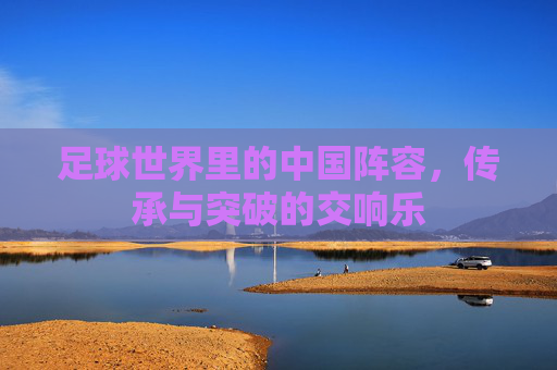 足球世界里的中国阵容,传承与突破的交响乐