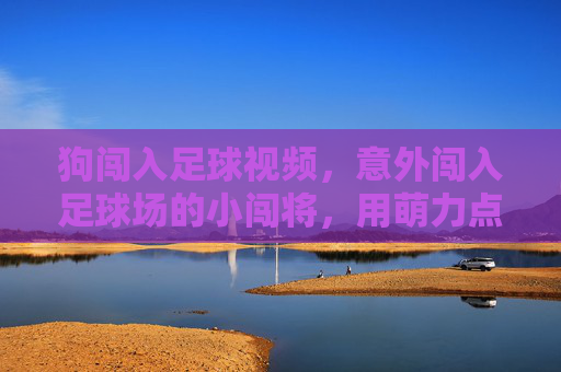 狗闯入足球视频，意外闯入足球场的小闯将，用萌力点燃全网笑点与感动