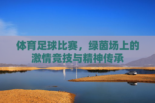 体育足球比赛,绿茵场上的激情竞技与精神传承