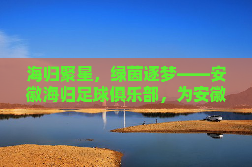 海归聚星,绿茵逐梦——安徽海归足球俱乐部,为安徽足球注入国际化新活力