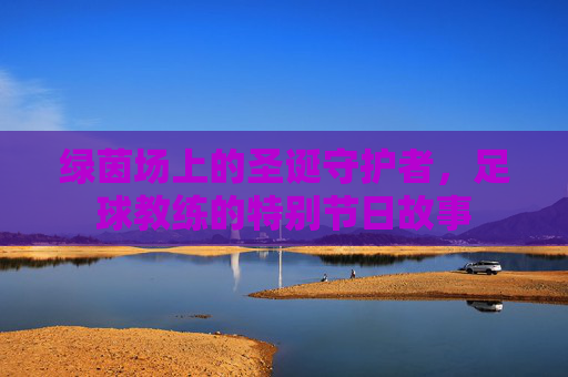 绿茵场上的圣诞守护者，足球教练的特别节日故事