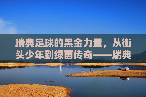 瑞典足球的黑金力量，从街头少年到绿茵传奇——瑞典黑人足球星的崛起之路