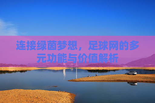 连接绿茵梦想，足球网的多元功能与价值解析