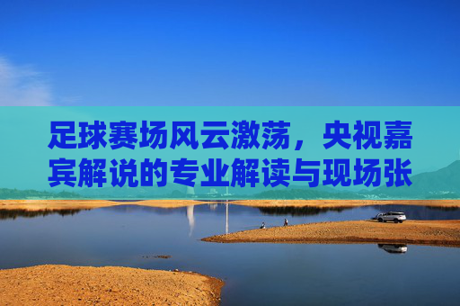 足球赛场风云激荡，央视嘉宾解说的专业解读与现场张力
