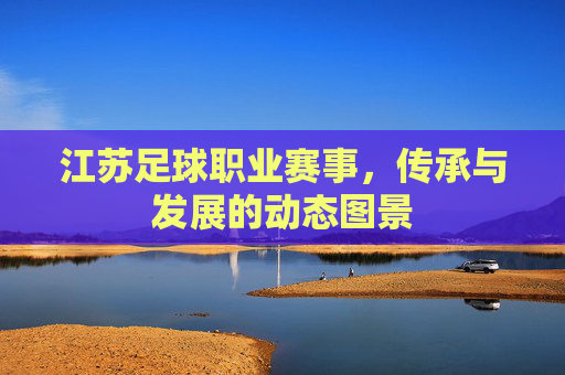 江苏足球职业赛事,传承与发展的动态图景