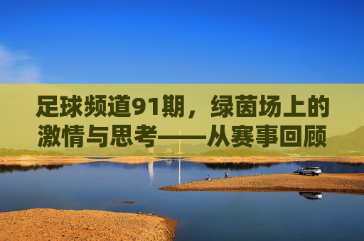 足球频道91期，绿茵场上的激情与思考——从赛事回顾到未来展望