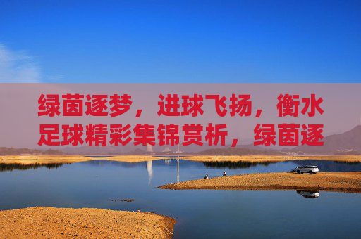 绿茵逐梦,进球飞扬,衡水足球精彩集锦赏析,绿茵逐梦,进球飞扬,衡水足球精彩集锦赏析