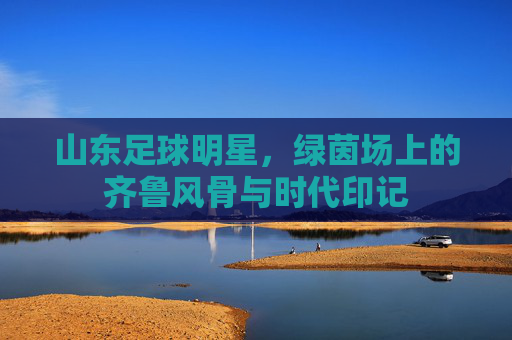 山东足球明星,绿茵场上的齐鲁风骨与时代印记