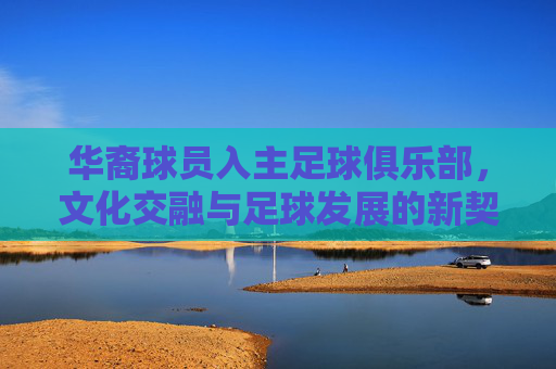 华裔球员入主足球俱乐部，文化交融与足球发展的新契机，华裔球员入主足球俱乐部，文化交融与足球发展的新契机