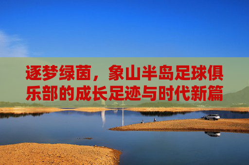 逐梦绿茵,象山半岛足球俱乐部的成长足迹与时代新篇