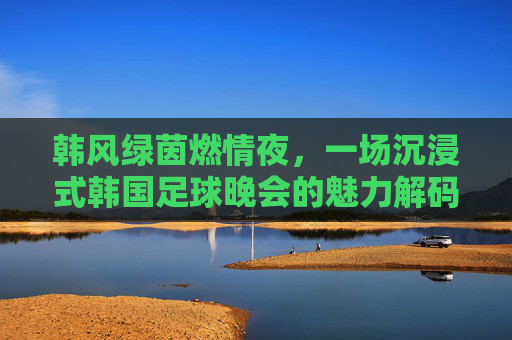 韩风绿茵燃情夜，一场沉浸式韩国足球晚会的魅力解码