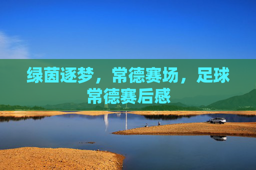 绿茵逐梦,常德赛场,足球常德赛后感