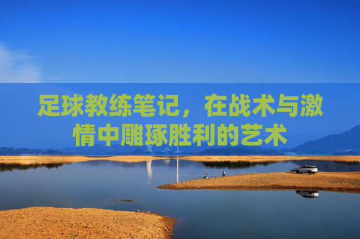 足球教练笔记,在战术与激情中雕琢胜利的艺术