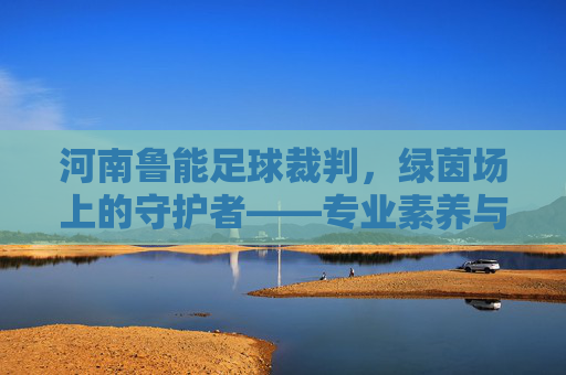 河南鲁能足球裁判，绿茵场上的守护者——专业素养与职业精神的体现