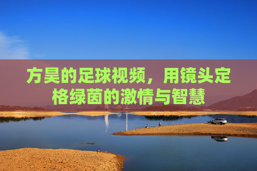 方昊的足球视频,用镜头定格绿茵的激情与智慧