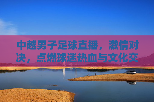 中越男子足球直播,激情对决,点燃球迷热血与文化交流的火花
