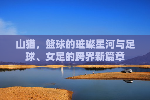 山猫，篮球的璀璨星河与足球、女足的跨界新篇章