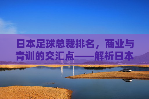 日本足球总裁排名,商业与青训的交汇点——解析日本足球管理者在职业化进程中的战略布局,日本足球总裁排名,商业与青训的交汇点——解析职业化进程中的战略布局