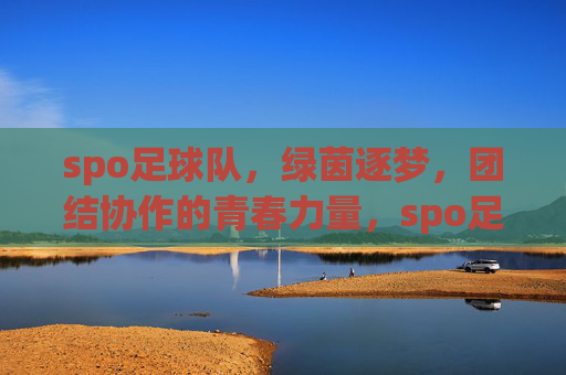 spo足球队，绿茵逐梦，团结协作的青春力量，spo足球队，绿茵逐梦，团结协作的青春力量