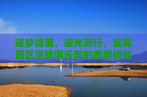 逐梦绿茵,逐光而行,宜宾西区足球俱乐部的西部崛起之路