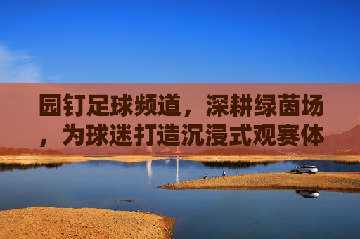 园钉足球频道,深耕绿茵场,为球迷打造沉浸式观赛体验