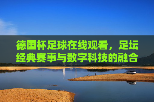 德国杯足球在线观看，足坛经典赛事与数字科技的融合之旅