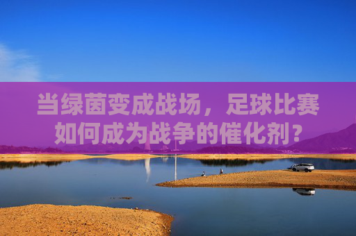 当绿茵变成战场,足球比赛如何成为战争的催化剂?