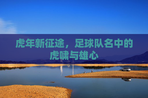 虎年新征途，足球队名中的虎啸与雄心
