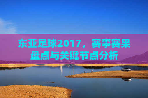 东亚足球2017,赛事赛果盘点与关键节点分析