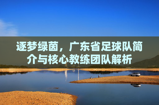 逐梦绿茵，广东省足球队简介与核心教练团队解析