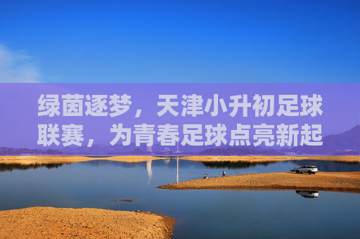 绿茵逐梦,天津小升初足球联赛,为青春足球点亮新起点,绿茵逐梦,天津小升初足球联赛为青春足球点亮新起点
