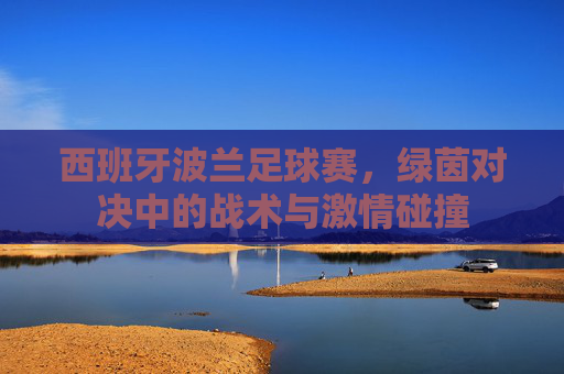西班牙波兰足球赛，绿茵对决中的战术与激情碰撞