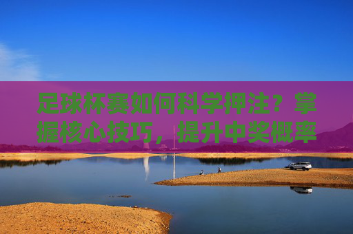 足球杯赛如何科学押注？掌握核心技巧，提升中奖概率