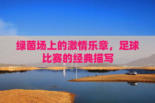 绿茵场上的激情乐章,足球比赛的经典描写