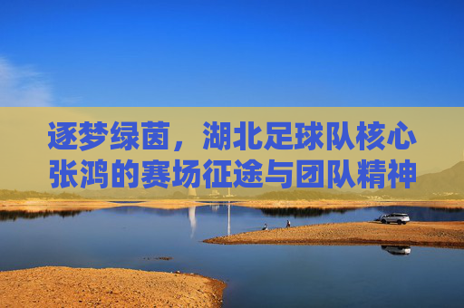 逐梦绿茵,湖北足球队核心张鸿的赛场征途与团队精神,逐梦绿茵,湖北足球队核心张鸿的赛场征途与团队精神