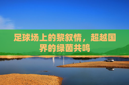 足球场上的黎叙情，超越国界的绿茵共鸣