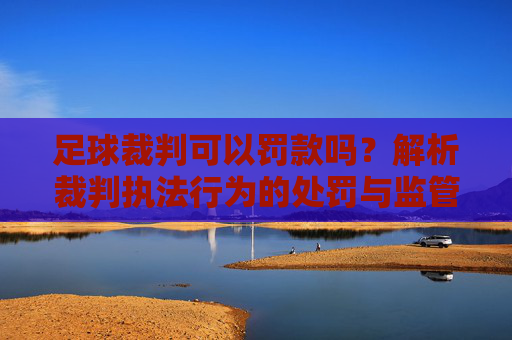 足球裁判可以罚款吗?解析裁判执法行为的处罚与监管机制,足球裁判可以罚款吗?解析裁判执法行为的处罚与监管机制
