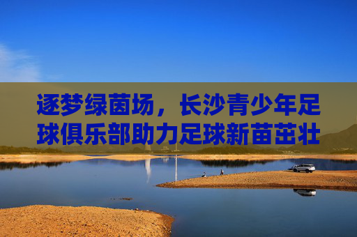 逐梦绿茵场，长沙青少年足球俱乐部助力足球新苗茁壮成长，逐梦绿茵场，长沙青少年足球俱乐部助力足球新苗茁壮成长