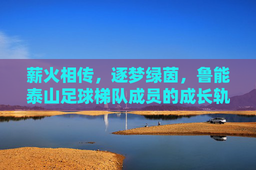 薪火相传，逐梦绿茵，鲁能泰山足球梯队成员的成长轨迹与未来展望