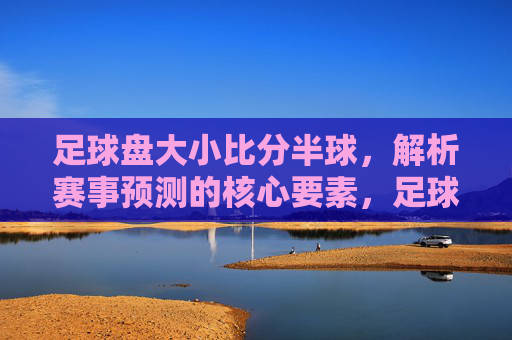 足球盘大小比分半球，解析赛事预测的核心要素，足球盘大小比分半球，解析赛事预测的核心要素