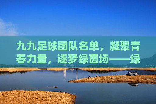 九九足球团队名单,凝聚青春力量,逐梦绿茵场——绿茵上的青春集结号