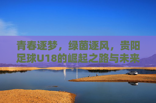 青春逐梦，绿茵逐风，贵阳足球U18的崛起之路与未来展望