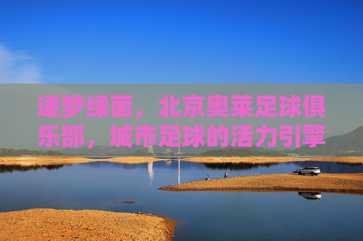 逐梦绿茵，北京奥莱足球俱乐部，城市足球的活力引擎与未来展望